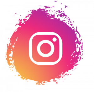 This image has an empty alt attribute; its file name is Insta-Logo-300x295.png